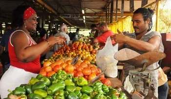La carencia de envases y bolsas aguza el ingenio reciclador de los cubanos