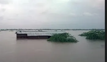 176 personas mueren en Malaui por inundaciones