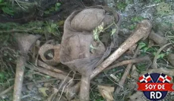 Hallan osamenta en toma de agua acueducto de Santiago