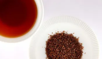  ¡Descúbre los beneficios para la salud del té rooibos!
