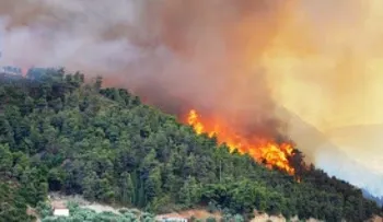 Medio Ambiente confirma fuego forestal en loma El Curro