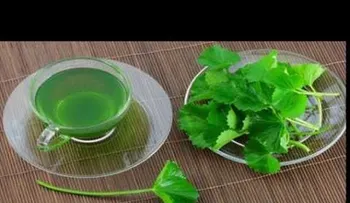Antibiótico natural para infecciones de vejiga y riñones