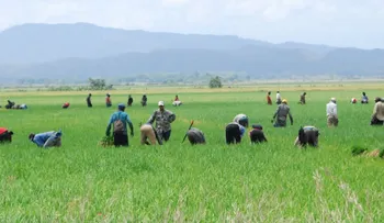 Abinader busca acuerdo comercial recíproco con EE. UU. en medio de disputa por el arroz