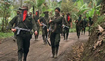 Indulto a dos guerrilleros: la condición del ELN para liberar al político secuestrado
