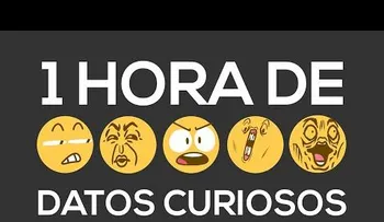 Datos curiosos 