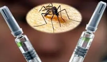  Usan bacteria para prevenir propagación del zika, dengue y chikunguña 