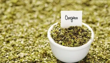 5 beneficios de consumir orégano?