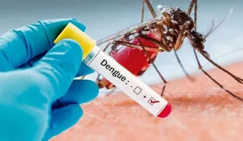 Salud Pública destaca baja incidencia de dengue en República Dominicana frente al promedio de las Américas