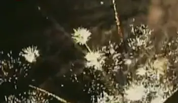 Dictadura chavista celebra con tuegos artificiales la renuncia de Pedro Pablo Kuczynski