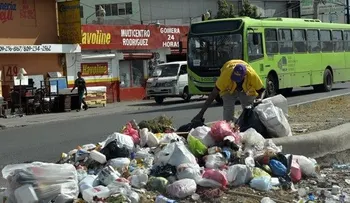 La OPS confirma cinco casos de zika en Haití; intensifican medidas