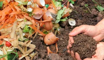 10 recetas de fertilizantes naturales para tus plantas