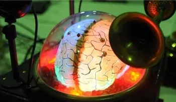 Datos abrumadores: entre 90 y 95 por ciento población mundial no sabe pensar