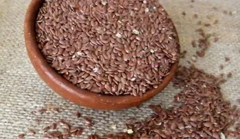 Súper semillas para tu dieta
