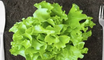 Consejos nutricionales para vegetarianos y veganos deportistas