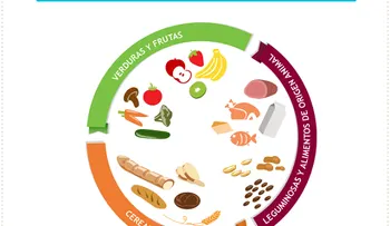 ¿Cómo hacer un almuerzo saludable? (Infografía)