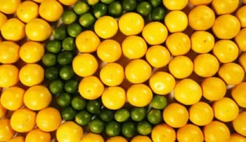 ¿La vitamina C sirve para tratar el cáncer de colon?