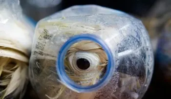 Los agentes de aduanas quedaron horrizados cuando vieron esto en las botellas de plástico...