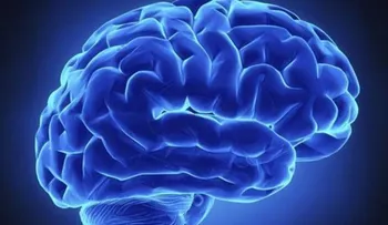 Hallan una nueva forma de transportar eficazmente fármacos al cerebro