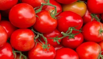 Enétare cuáles son los alimentos que ayudan a prevenir el cáncer