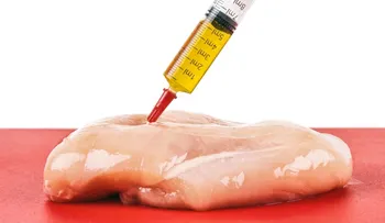 Si quieres seguir comiendo POLLO no lo lea