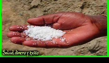 Echas sal en las esquinas de tu casa y sucederán cosas asombrosas en tu vida 