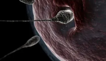 Las mutaciones de esperma ponen en peligro hijos de padres adolescentes