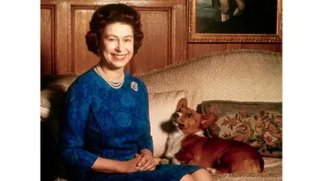 Muere el último corgi de la reina Isabel II, según los medios británicos