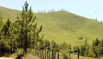 TSA rechaza solicitud de regularizar plazo para desalojar Valle Nuevo