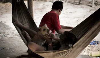 Esta antigua tradición de una tribu amazónica hará que entres en shock...