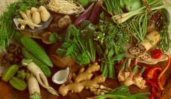 5 vegetales ricos en proteína que debes comer