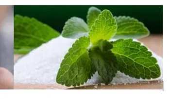 Esta hoja probada para perder peso y que los fumadores dejen el vicio