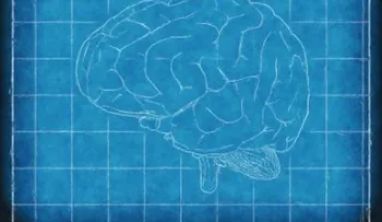 Así decide el cerebro lo que es importante