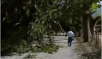 Inician paro por 24 horas en Santiago