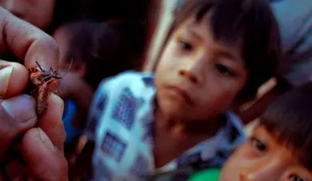 600 compuestos contra la leishmaniasis, el Chagas y el mal del sueño