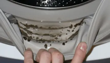 Usa estos 2 ingredientes para quitar el moho y olores desagradables de tu lavadora 
