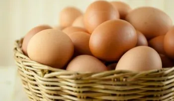 ¿Cuántos huevos debemos comer a la semana?