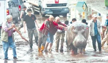 Inundaciones en Georgia; escapan animales del zoo
