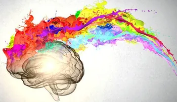 No sólo dieta y ejercicio: qué hacer para tener un cerebro joven