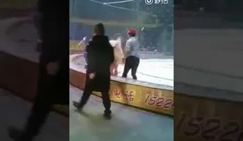 Un tigre y una leona atacan a un caballo en un circo chino