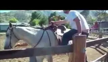 Los mejores VIDEOS de risa en el 2015 (1ra parte)
