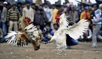 10 muertos y siete heridos por balacera en Guerrero, México