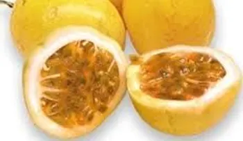 10 beneficios de la chinola que no conocías