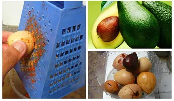 Científicos de EEUU descubren que la semilla del aguacate mejora la artritis, el cáncer y otras enfermedades