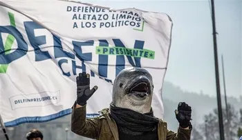 Un delfín se lanza a la presidencia de Chile