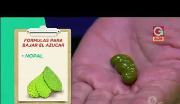 Ayudas para procesar el azúcar en nuestro cuerpo