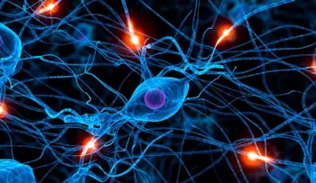  La neurociencia da pasos agigantados en la investigación de células cerebrales 