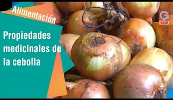 Las propiedades medicinales de la cebolla 