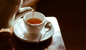 El té de damiana ayuda al hombre en la erección y la fertilidad en la mujer. ¡Conoce otras de sus increíbles propiedades!