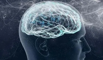 Científicos descubren un mecanismo de entrada de fármacos al cerebro