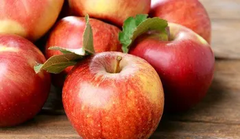  Las 4 mejores frutas para aliviar el dolor estomacal